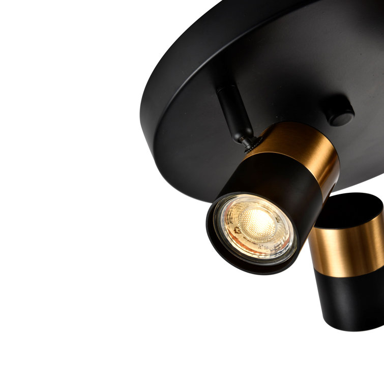 Breakwater Bay Bumble Directional & Spotlight Wayfair